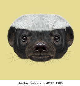Illustrated portrait of Honey badger. Cute face of ratel on yellow background.