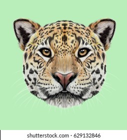 Jaguar Face Images Stock Photos Vectors Shutterstock