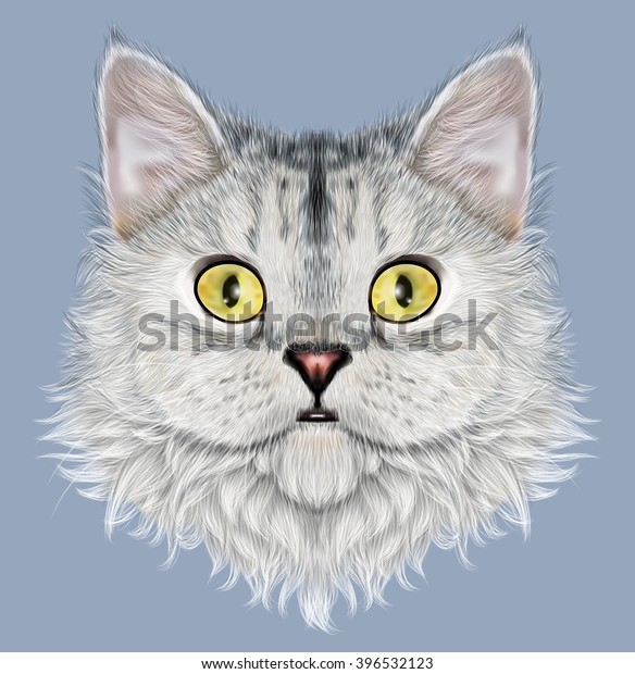 Illustrated Portrait Selkirk Rex Cat Cute Stok İllüstrasyon 396532123