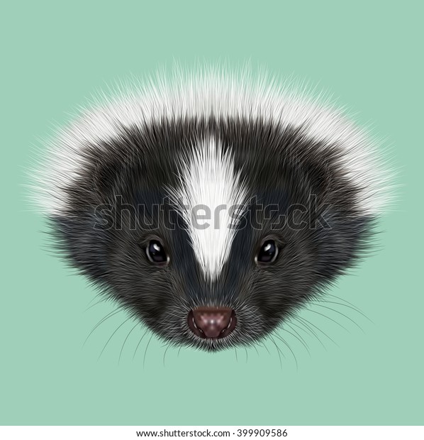 Illustrated Portrait Skunk Cute Face Striped Stock Illustration 399909586