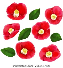 
Illustration 6 camellia flowers