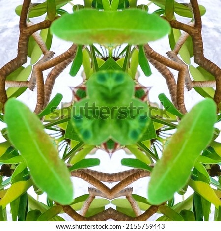 Similar – Image, Stock Photo Hair and spines