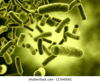 Illustration Of Bacteria Cells