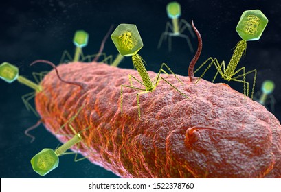 illustration of the Bacteriophage Virus that infects and replicates within a bacterium. 3D illustration
