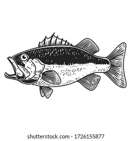 Illustration Bass Fish Engraving Style Design Stock Vector (Royalty ...