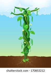 Illustration Of A Bean Stalk On The Fairy Tale Jack And The Beanstalk. The Concept Of Growth