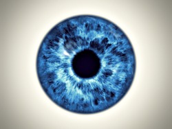 An Illustration Of A Beautiful Blue Eye Iris Texture