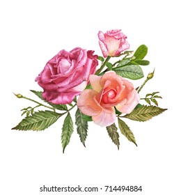 Watercolor Pink Roses Bouquet Stock Illustration 196707944