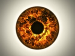 An Illustration Of A Beautiful Golden Eye Iris Texture