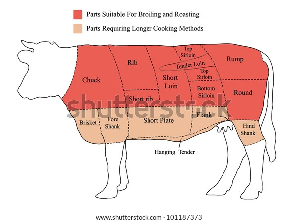 Illustration Beef Cuts Chart Cow Stock Illustration 101187373