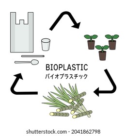 Illustration of bioplastic products and raw corn and sugar cane