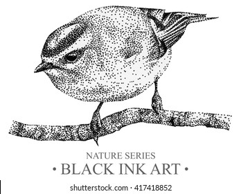 Illustration With Bird Goldcrest Drawn By Hand With Black Ink. Graphic Drawing, Pointillism Technique. Element For Design
