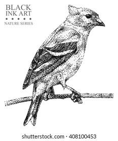 Illustration With Bird Siskin Drawn By Hand With Black Ink. Graphic Drawing, Pointillism Technique. Floral Element For Design
