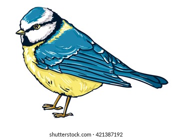 Tomtit Bird Titmouse Vector Illustration Tomtit Stock Vector (royalty 