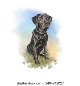 Watercolor Labrador Images, Stock Photos & Vectors | Shutterstock