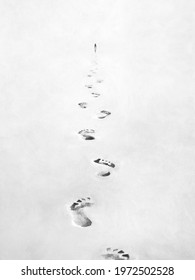illustration of black and white footsteps in the sand, following person concept