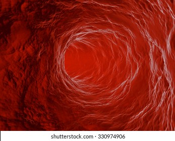 Illustration Of Blood Vessel