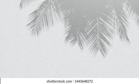 Illustration Of Blur Shadow Of Coconut Palm Tree On White Wall With Motion Blur Effect