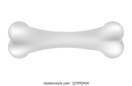 Illustration of bone