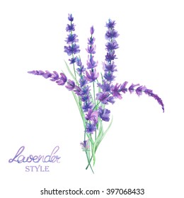 An illustration with a bouquet of the beautiful watercolor lavender branches, isolated hand-drawn in a watercolor on a white background