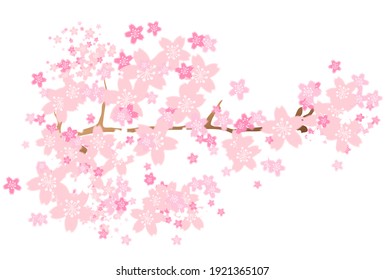 桜 ソメイヨシノ のイラスト素材 画像 ベクター画像 Shutterstock