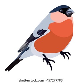 Bullfinch Hand Drawn Cute Bird Vector Stock Vector (Royalty Free ...