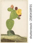 Illustration of a cactus with green pads, yellow flower, and pink buds. The cactus stands on a rocky base, showcasing its natural beauty and vibrant colors. Vintage floral illustration, art drawing.