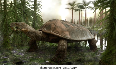 An illustration of Carbonemys cofrinii, an extinct genus of giant turtles known from the early Paleocene Cerrejon Formation of Colombia. The giant predator had a shell that was 6 feet long.