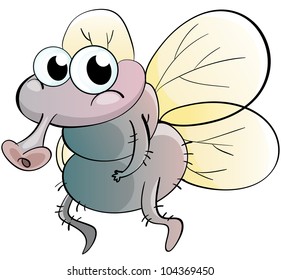 Illustration of a cartoon fly - EPS VECTOR format also available in my portfolio.