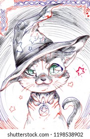 Illustration cat and witch