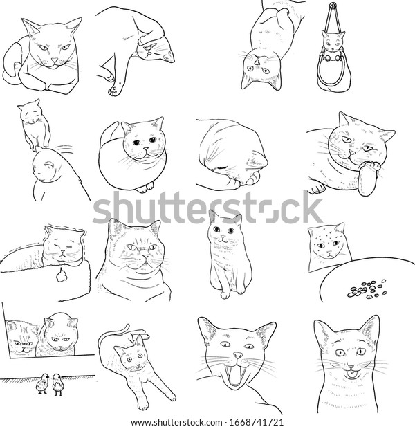 Illustration Character Design Outline Cute Catdraw Stock Illustration ...