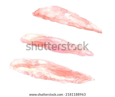 Illustration of chicken breast drawn in watercolor