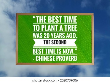 Illustration Of The Chinese Proverb “The Best Time To Plant A Tree Was 20 Years Ago. The Second Best Time Is Now. ”