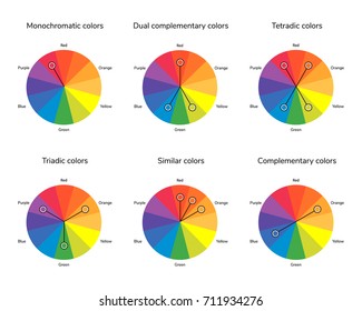 1000 Split Complementary Color Stock Images Photos