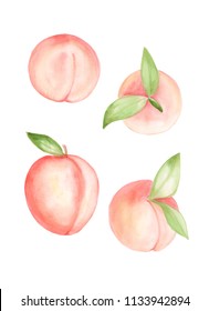 Illustration of a colored picture of a peach fruit, peach blossoms, peach products in color pink beige