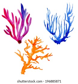 Illustration the colorful coral reefs white background