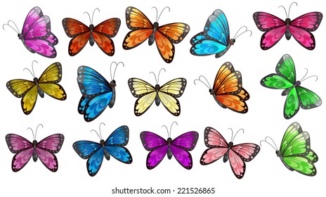 butterfly clipart pictures