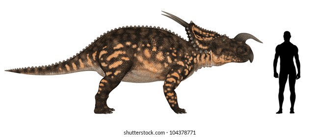 Illustration Of A Comparison Of The Size Of An Adult Einiosaurus (dinosaur Species) With An Average Adult Male Human (1.8 Meters)