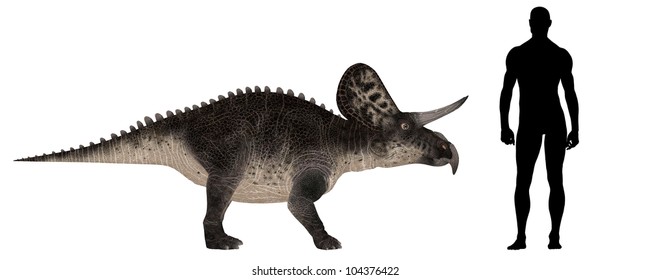 Illustration Of A Comparison Of The Size Of An Adult Zuniceratops (dinosaur Species) With An Average Adult Male Human (1.8 Meters)