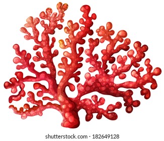 Illustration of a coral reef on a white background