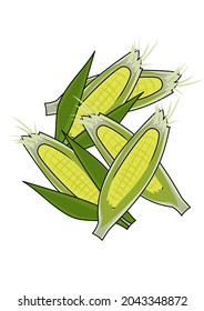 Illustration Of Corn, Which Is Also A Raw Material For Bioplastic Biomass