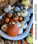 An illustration created by pixellating the original photograph of a variety of colorful pumpkins and gourds piled together in a rustic, white bathtub. Some are smooth, others bumpy.