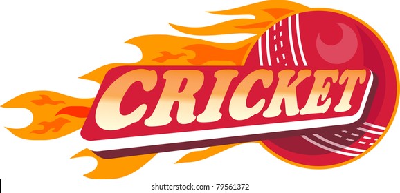 Illustration Of A Cricket Sports Ball With Fire And Flames On Isolated White  Background Done In Retro Style