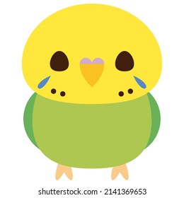 Illustration Of A Cute Budgie Facing Forward.