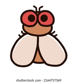 Illustration of a cute Drosophila character.