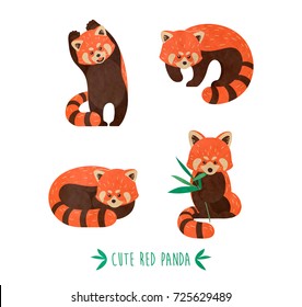 Illustration cute and funny red panda.