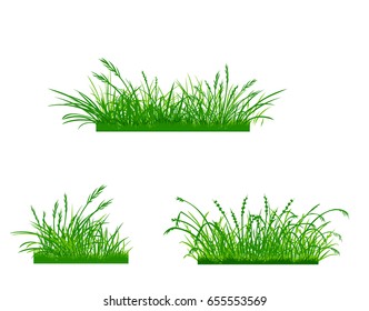 白い背景に緑のアシの草と多くの海岸植物のカラーベクター画像 牧草地や庭に春の芽や雑草が描かれたイラスト ストックベクター画像 のベクター画像素材 ロイヤリティフリー Shutterstock
