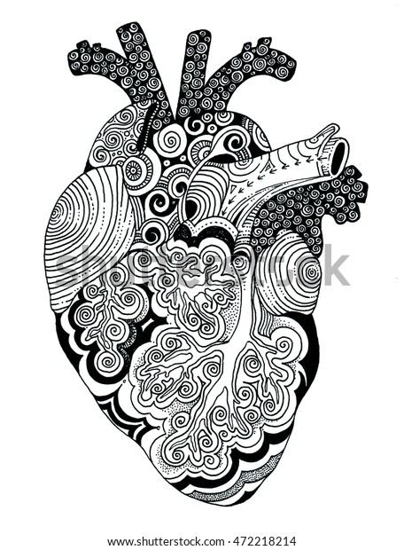 Illustration Decorative Drawing Human Heart Stock Illustration ...