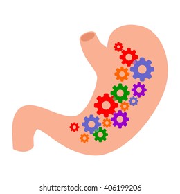 Illustration Dedicated To The Healthy Stomach And Good Digestion.
