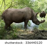 An illustration depicting Brontotherium getting a drink in forest river. Brontotherium is an extinct group of large herbivore browsers. It was endemic to North America during the Late Eocene epoch.